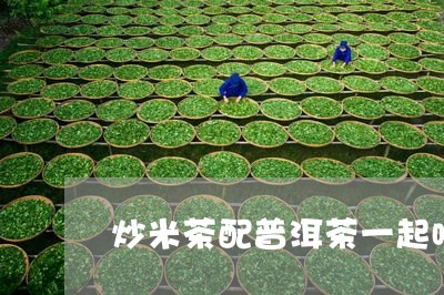 炒米茶配普洱茶一起喝/2023062220272