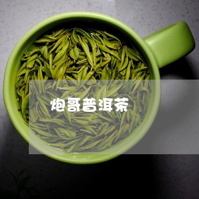 炮哥普洱茶/2023102539634