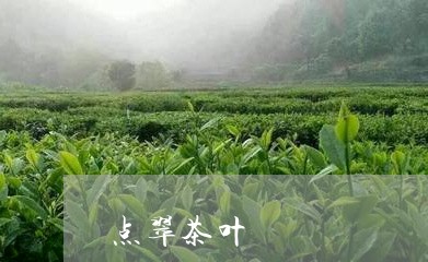 点翠茶叶/2023090176052