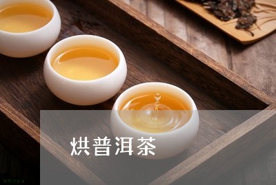 烘普洱茶/2023110833695