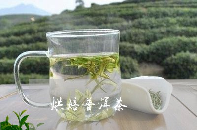 烘焙普洱茶/2023090540382