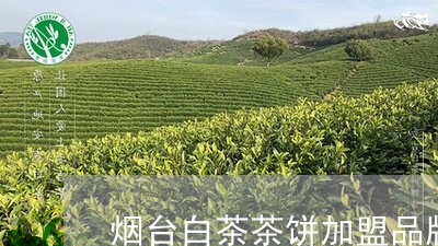 烟台白茶茶饼加盟品牌排行/2023110399683