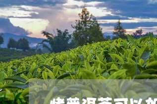 烤普洱茶可以加什么糖果/2023112714059