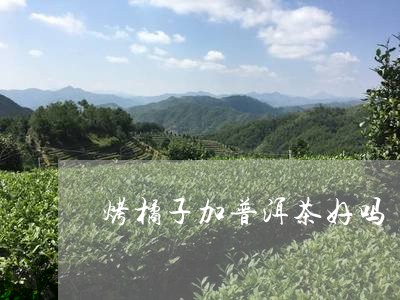 烤橘子加普洱茶好吗/2023112476160