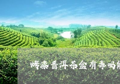 烤漆普洱茶盒有毒吗能喝吗/2023112551714