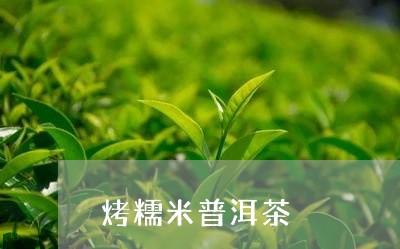 烤糯米普洱茶/2023042741599