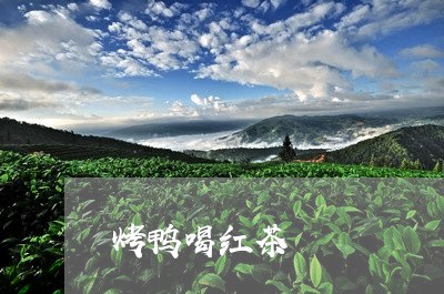 烤鸭喝红茶/2023121905259