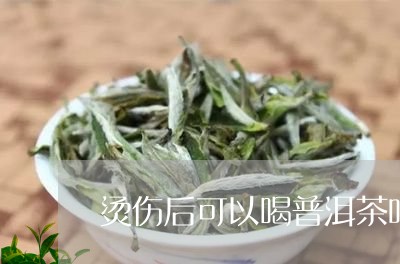 烫伤后可以喝普洱茶吗/2023062358261