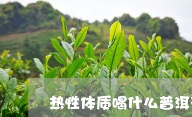 热性体质喝什么普洱茶/2023062349793