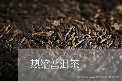 热缩普洱茶/2023081700380