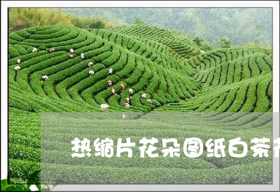 热缩片花朵图纸白茶花/2023100323827