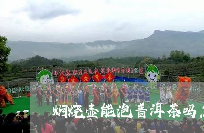 焖烧壶能泡普洱茶吗怎么泡/2023112475726