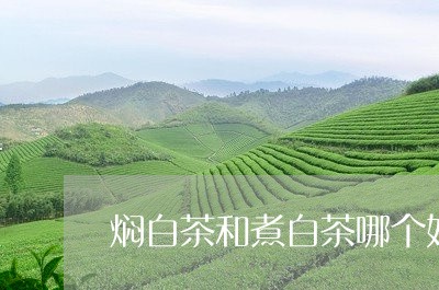 焖白茶和煮白茶哪个好/2023082693926