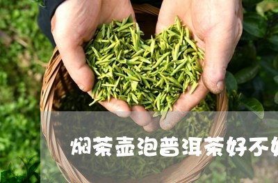 焖茶壶泡普洱茶好不好用/2023082566242