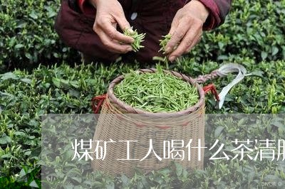 煤矿工人喝什么茶清肺/2023071357683