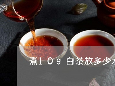 煮10g白茶放多少水最好/2023082516050