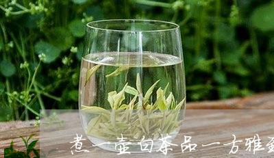 煮一壶白茶品一方雅致/2023100301583