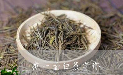 煮一壶白茶等你/2023060219573