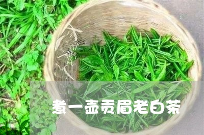 煮一壶贡眉老白茶/2023090927250