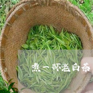 煮一杯老白茶/2023073170693