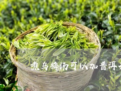 煮乌梅汤可以加普洱茶吗/2023081729515