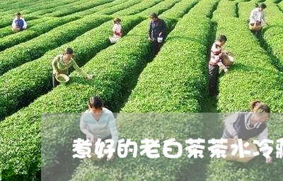 煮好的老白茶茶水冷藏/2023100350815