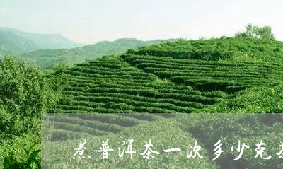 煮普洱茶一次多少克茶叶/2023083187472