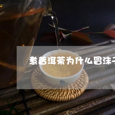 煮普洱茶为什么冒沫子/2023062390614