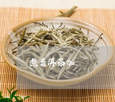 煮普洱茶加/2023110753846