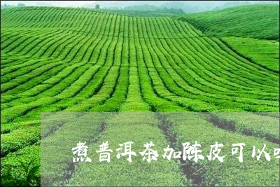 煮普洱茶加陈皮可以吗/2023072356283