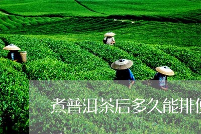 煮普洱茶后多久能排便/2023062466160