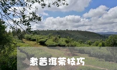 煮普洱茶技巧/2023042817529