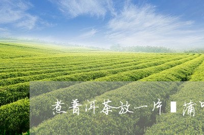 煮普洱茶放一片菖蒲叶/2023092639482