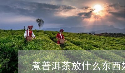 煮普洱茶放什么东西好喝一点/2023082805915