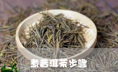 煮普洱茶步骤/2023091355048