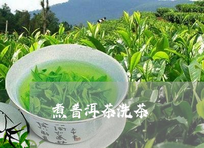 煮普洱茶洗茶/2023042812019