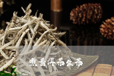 煮普洱茶生茶/2023042876736