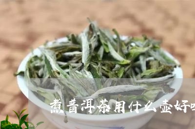 煮普洱茶用什么壶好吗/2023062427170