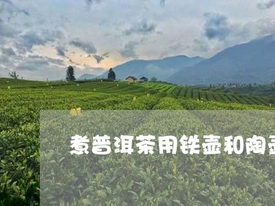 煮普洱茶用铁壶和陶壶/2023093059694