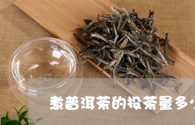 煮普洱茶的投茶量多少合适/2023110267281