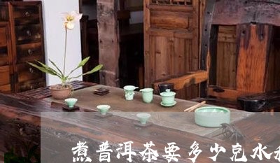 煮普洱茶要多少克水和茶/2023083169494