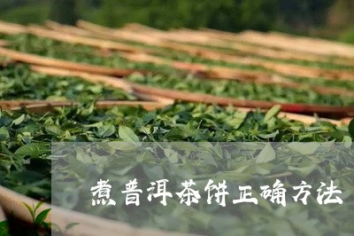 煮普洱茶饼正确方法/2023101668493