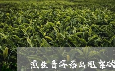 煮生普洱茶出现絮状物/2023062116258