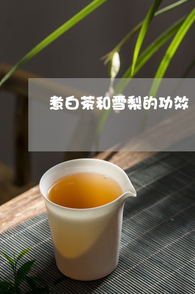 煮白茶和雪梨的功效/2023082617350