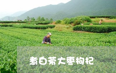 煮白茶大枣枸杞/2023063014148