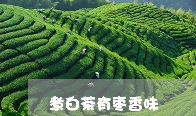 煮白茶有枣香味/2023060287480