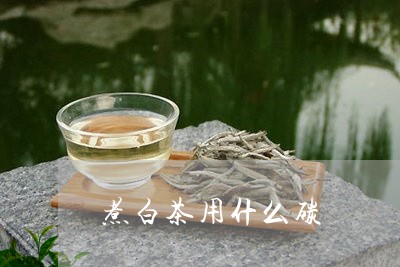 煮白茶用什么碳/2023060238560