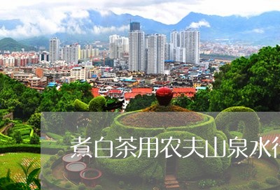 煮白茶用农夫山泉水行吗/2023102703826