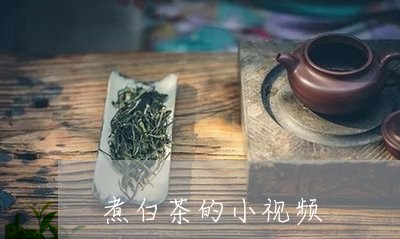 煮白茶的小视频/2023060265158