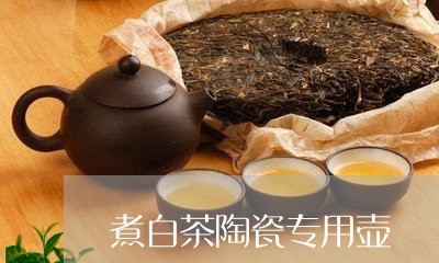 煮白茶陶瓷专用壶/2023073107269